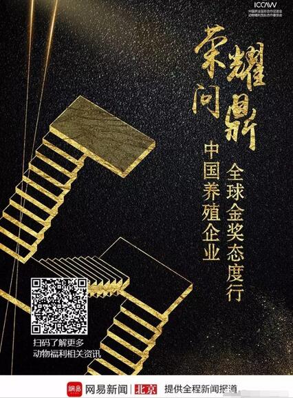 中国养殖企业厉害了，网易将全程跟踪报道他们的欧洲领奖之行