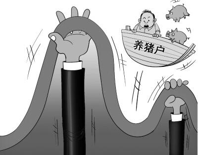 今年猪价走势极其反常，到底是什么打压了猪市？