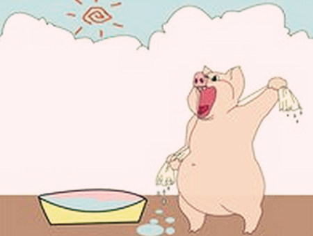 夏天猪也会感冒，应该怎么办才好