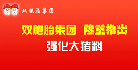 种猪热应激下的饲养对策