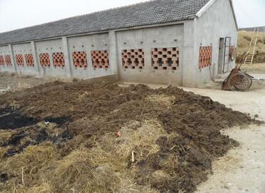 钱塘江之源，猪粪为何卖出猪肉价，金贵到必须“抢”？