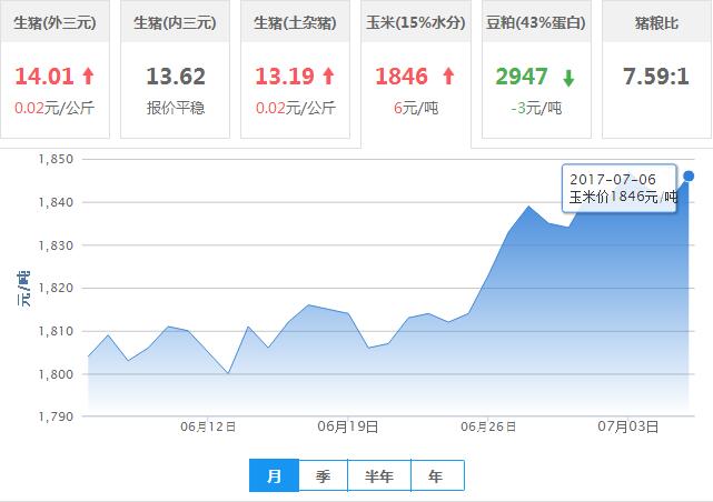 2017年07月06日全国玉米价格行情走势汇总