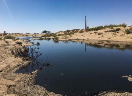 污水、粪便直排 恶臭难散 养猪业污染内蒙古海金山牧场