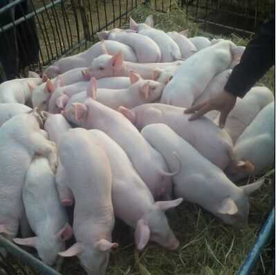 千万要注意！这45种东西用了不仅要罚钱，还要坐牢！