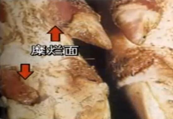 猪病技术：猪口蹄疫病原及流行特点，真详细！