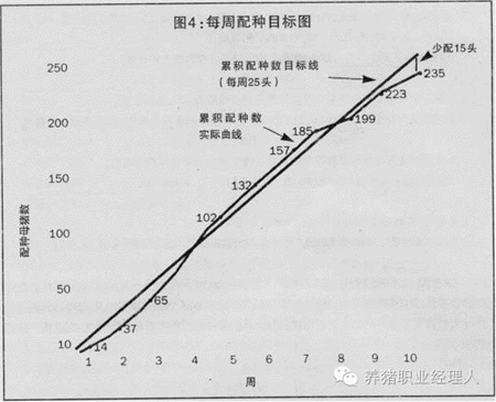 现场如何检测每批猪的配种效率?