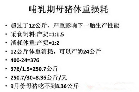 母猪的营养与环境是提高SPY的关键！