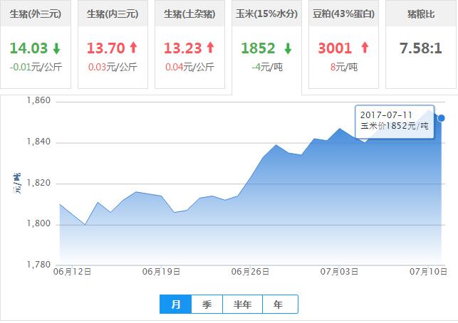 2017年07月11日全国玉米价格行情走势汇总