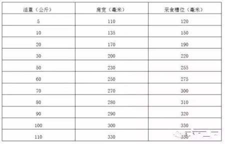 母猪、仔猪管理细节实用经验总结