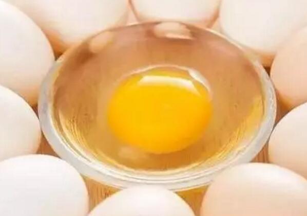 给猪注射鸡蛋清，既可以增重，又可以治猪病！