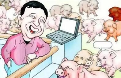 网络大佬们养猪比，普通老百姓具体强在哪里？