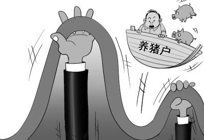 2017年猪价将和5年前一样在下半年反弹？事实令人震惊