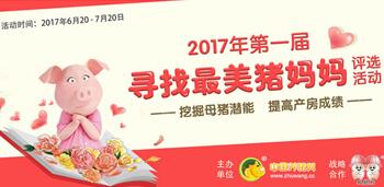 2017年第一季“最美猪妈妈”评选活动圆满结束 线上投票量突破74万
