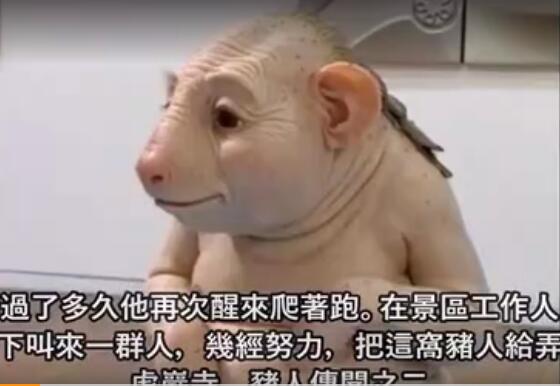 猪人是真的吗？20多张猪人图片为您揭开猪人谜团