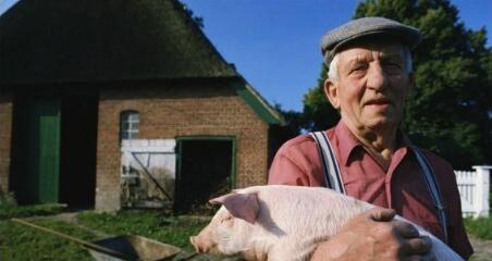 为什么国外养猪成本低？和我们有何区别呢？