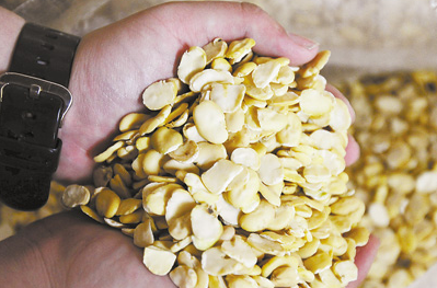 “东峰粕”：别因猪价下跌而放弃采购豆粕