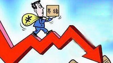 最新数据：上半年生猪出栏仅增加0.7%，猪价却跌了30%！