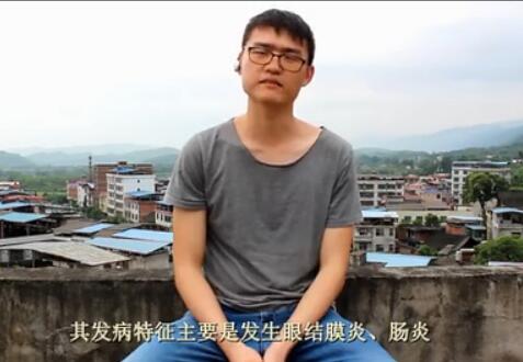 猪衣原体病是危险疾病，还属于人畜共患性传染病，如何预防？