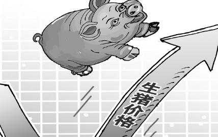 听说你在赌立秋涨价！靠谱不靠谱？且听分析……