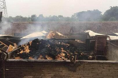 四川资阳一场大火烧毁养猪场 30多头二师兄成烤猪