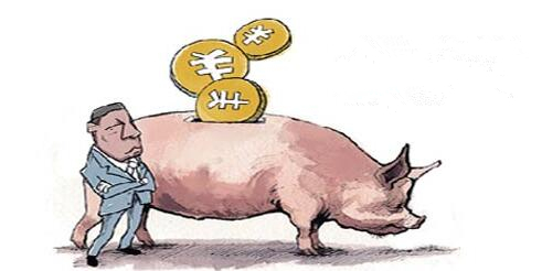 今天又涨1毛！是缺猪，还是屠企的压价阴谋？
