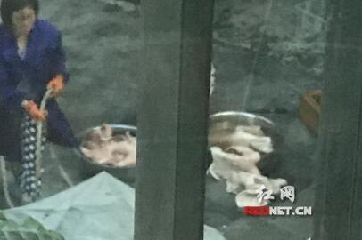 常宁市一加工猪耳朵 猪大肠的黑作坊被取缔