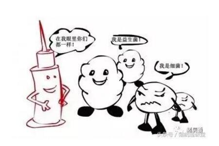 养猪人在治疗猪病时候常见的4大用药误区！