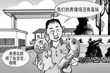 六种养猪场粪污处理模式，还不快学学？