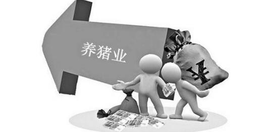 养猪人：8月猪价大涨的背后，这个利好你猜不到……