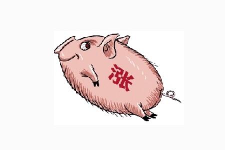 近日生猪价格上涨过快，请养殖户理性计划和作为！