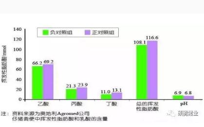 日粮中添加这个，提高猪群生产性能就是这么简单！