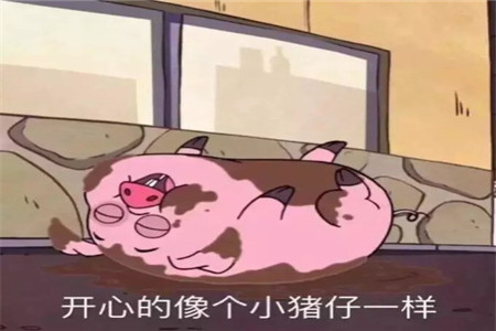 买猪苗育肥，跟着老师傅合理挑小猪吧！