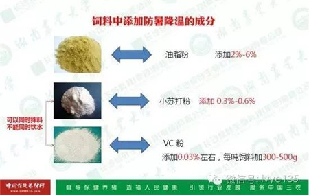 刘进辉教授支招解决夏季猪难养的问题