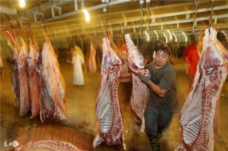 8月中下旬猪行情分析 屠企手中没有多少底牌可打
