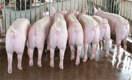 2017年中央财政230亿元支持农业适度规模经营！