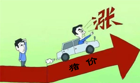 一周后猪价或上涨，八九月可期7.5元！