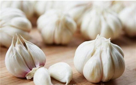 买兽药的钱可以省，这三种猪病用大蒜就能搞定