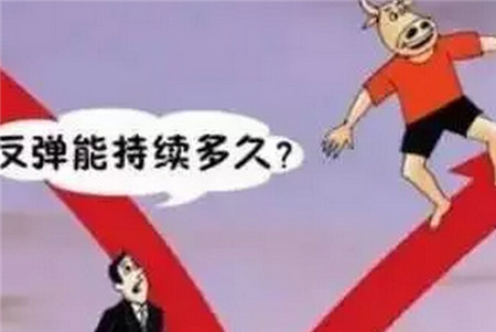 目前涨价季节性小反弹，下半年阶段性反弹概率大！