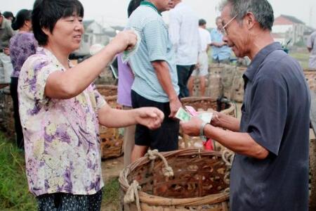8月中下旬，猪价走势到底是进是退？哭还是笑