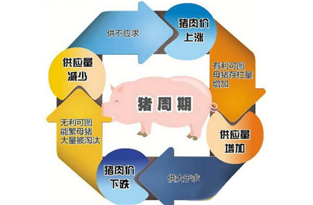 难逃猪周期魔咒 上半年11家上市农牧企业一半利润下跌