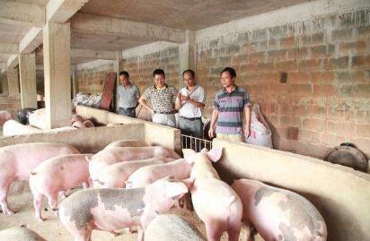 四川省发紧急通知，叫停环保禁养“一刀切”！