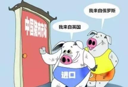 英、俄猪肉来袭，猪价是否还能稳步回升？