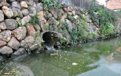 常州一无证养猪场污染农田灌溉渠 毒死数百斤鱼