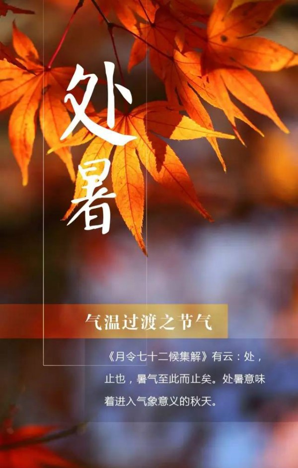 今日处暑丨秋收始、渔船开，牧仕达温馨提示