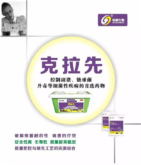 纵横新品上市 | 克拉先——控制副猪、链球菌、丹毒等细菌 性疾病的首选药物