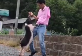 独臂养猪人年入三千万 最爱在猪圈跳舞