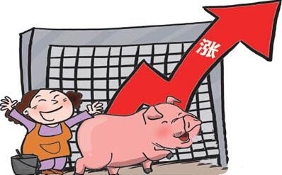 8月31日猪评：猪价小幅下跌 仔猪价格略上涨