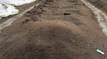 青神变“粪”为“宝” 探综合治污生态循环路