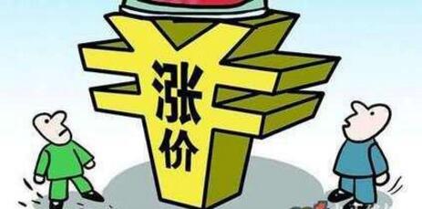 猪市两问：下半年猪价能否上涨？母猪存栏是增是减？
