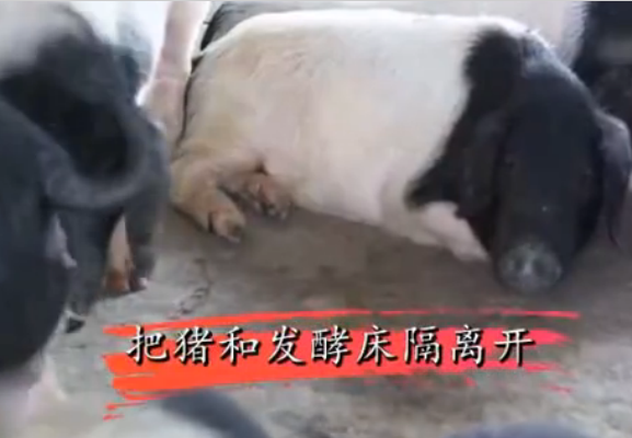 真正的零排放零污染, 更轻松了